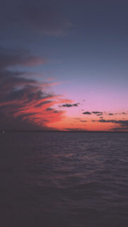 Stunning Sunset Ocean Horizon Mobile Wallpaper with Vibrant Pink and Orange Clouds
