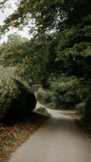 Enchanting Countryside Path Through Lush Green Forest Wallpaper