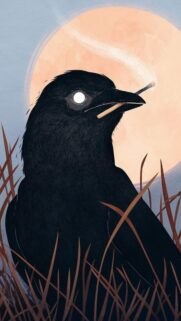 Mysterious Crow Smoking Under a Full Moon Illustration Wallpaper for Mobile