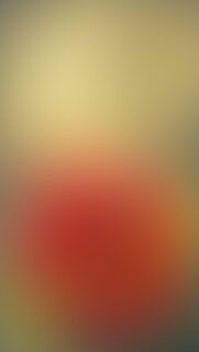Minimalist Soft Gradient Background Featuring Warm Orange and Cream Hues