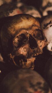 Vintage Dark Human Skull Artistic Mobile Wallpaper