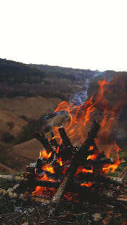 Stunning Campfire Flames Over Rolling Hills Mobile Wallpaper High Quality