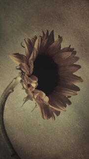 Vintage Sunflower Aesthetic: Moody Floral Art Wallpaper for Mobile