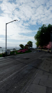 Scenic Coastal Road with Spring Blossoms and Blue Sky Mobile Wallpaper