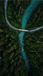 Stunning Aerial View of Turquoise River Through Dense Green Forest Wallpaper