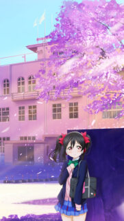 Nico Yazawa Anime Girl Under Cherry Blossoms Mobile Wallpaper