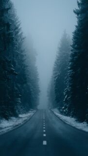 Misty Winter Forest Road Landscape High Resolution Mobile Wallpaper