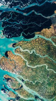 Stunning Satellite View of Earth Delta River System High Resolution Wallpaper