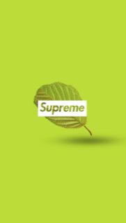 Minimalist Supreme Leaf Aesthetic Wallpaper in Vibrant Lime Green