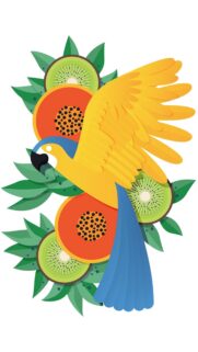 Vibrant Tropical Macaw and Exotic Fruit Illustration Wallpaper