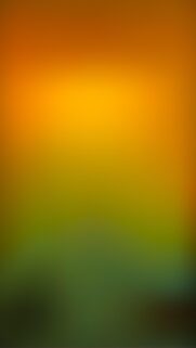Stunning Warm Gradient Abstract Phone Wallpaper in Orange and Green Hues