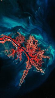 Stunning Satellite View of Red River Delta Abstract Earth Wallpaper