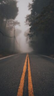 Moody Foggy Road Into The Forest High Definition Mobile Wallpaper