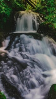 Enchanting Lush Green Forest Waterfall Mobile Wallpaper