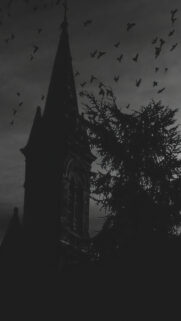 Dark Gothic Church Silhouette with Flying Birds Wallpaper for Mobile