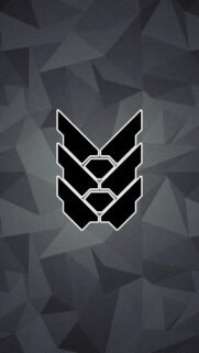 Minimalist Cyberpunk Crest Wallpaper with Geometric Grey Pattern Background