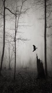 Ethereal Raven Flying in a Misty Dark Forest Mobile Wallpaper