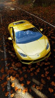 Yellow Lamborghini Huracan on Autumn Road High Quality Mobile Wallpaper