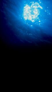 Stunning Underwater Sunlight Rays Mobile Wallpaper HD Background