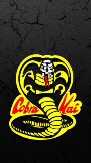 Cobra Kai Logo Wallpaper Black and Yellow Minimalist Design