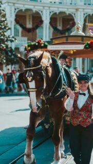 Magical Main Street Horse Drawn Trolley Disney Phone Wallpaper