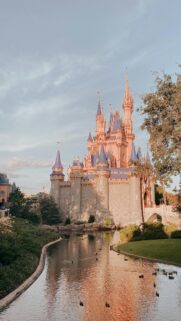 Cinderella Castle at Magic Kingdom Sunset Mobile Wallpaper