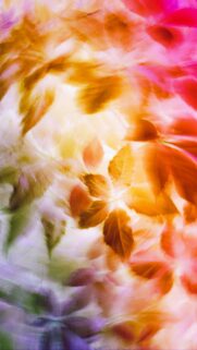 Abstract Autumn Leaves Dreamy Soft Focus Phone Wallpaper