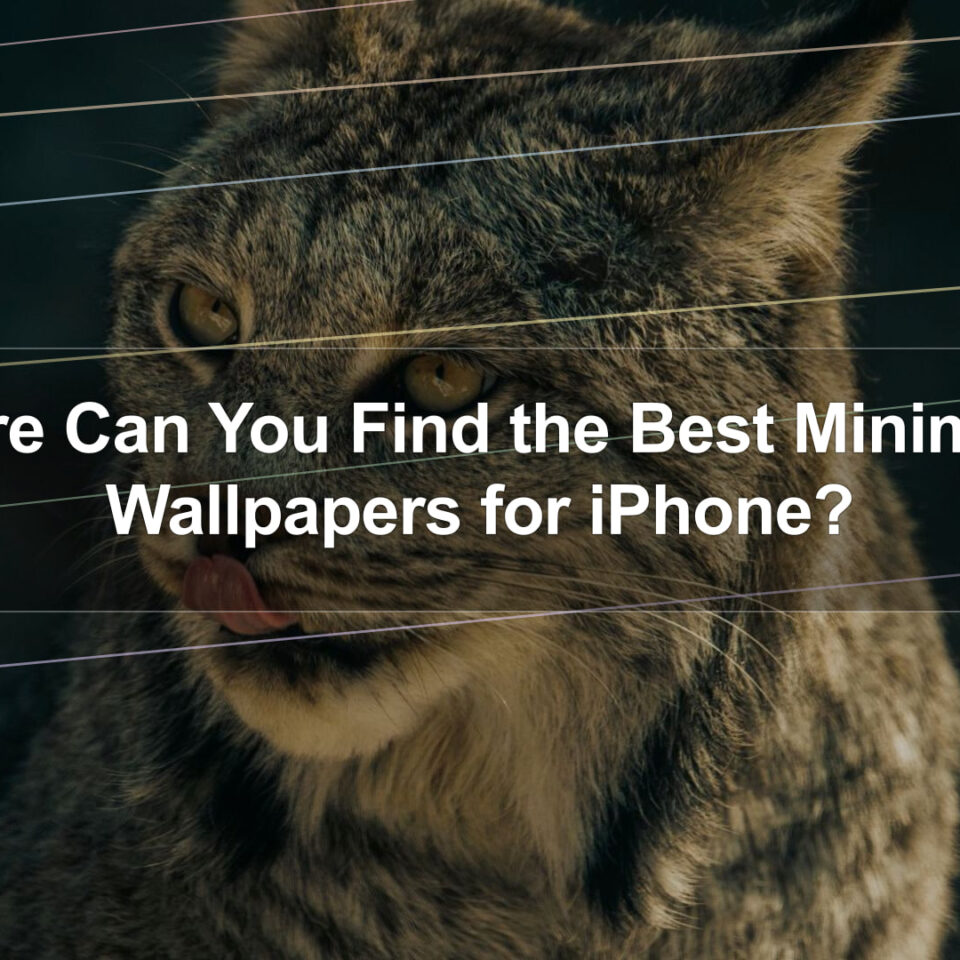 Where Can You Find the Best Minimalist Wallpapers for iPhone?