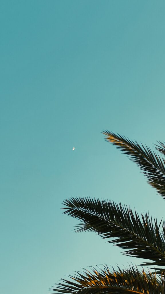 Cancer Moon Phase Celestial Energy Mobile Phone Wallpaper