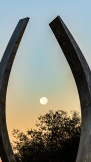 Cancer Zodiac Moon Sign Aesthetic Sunset Phone Wallpaper