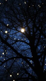 Celestial Starlight Energy Aesthetic for Spiritual Manifestation Wallpaper