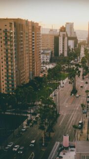 Aerial Sunset City Street View with Palm Trees Mobile Wallpaper