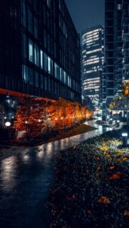 Stunning Rainy City Night Street with Glowing Autumn Trees Wallpaper