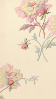 Elegant Soft Pastel Floral Peony Art iPhone and Android Wallpaper