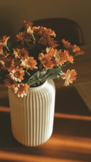 Warm Sun-Kissed Orange Daisies in Ceramic Vase Phone Wallpaper