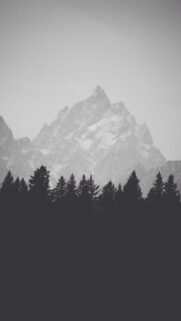 Minimalist From Typography Mobile Wallpaper – High Quality HD Background