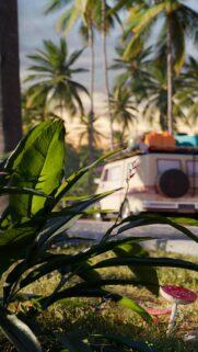 Tropical Camper Van Sunset Scenic Phone Background Wallpaper