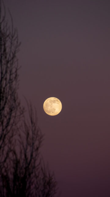 Cancer Moon Glow Spiritual Zodiac Aesthetic Phone Wallpaper