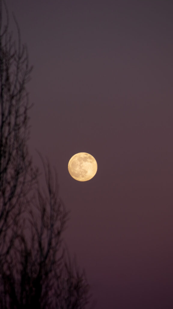 Cancer Moon Glow Spiritual Zodiac Aesthetic Phone Wallpaper