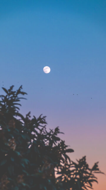 Full Moon Spiritual Energy Serenity and Lunar Manifestation Wallpaper
