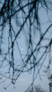 Minimalist Waxing Gibbous Moon Energy and Celestial Lunar Wallpaper