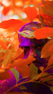 Vibrant Purple Aura Energy and Spiritual Transformation Wallpaper