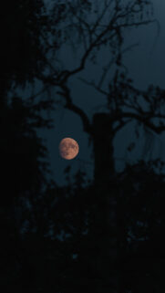 Mystical Full Moon Silhouette for Lunar Energy and Manifestation Wallpaper