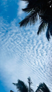 Celestial Altocumulus Clouds Spiritual Energy Aesthetic Phone Wallpaper