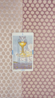 Ace of Cups Tarot Card Meaning and Spiritual Connection Wallpaper