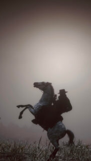 Rearing Horse Outlaw Silhouette Mobile Wallpaper