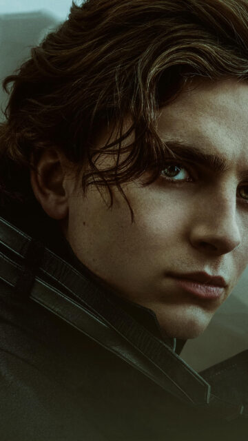 Timothée Chalamet Close-up Cinematic Portrait Mobile Wallpaper