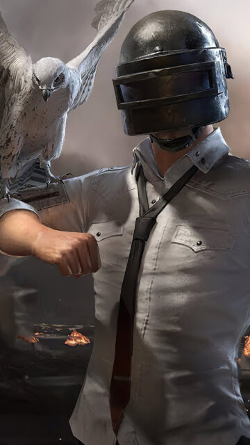 PUBG Player with Falcon Mobile Wallpaper