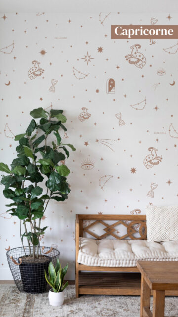 Capricorn Zodiac Earth Sign Aesthetic Celestial Constellation Wallpaper