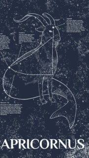 Capricorn Constellation Aesthetic Celestial Zodiac Art Wallpaper